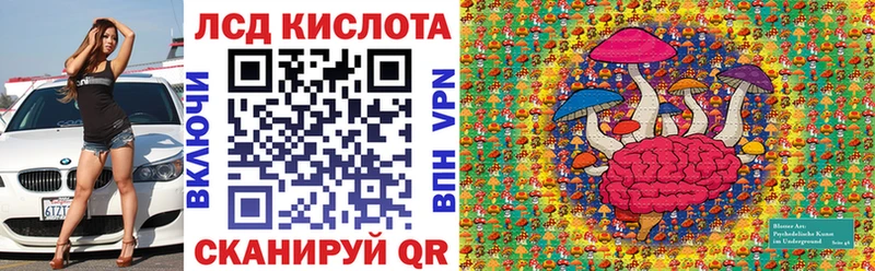 kraken зеркало  дарк нет Telegram  Марки NBOMe 1,8мг  Ессентукская 