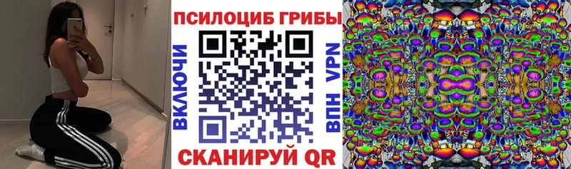 магазин  наркотиков  Ессентукская  Галлюциногенные грибы Psilocybe 