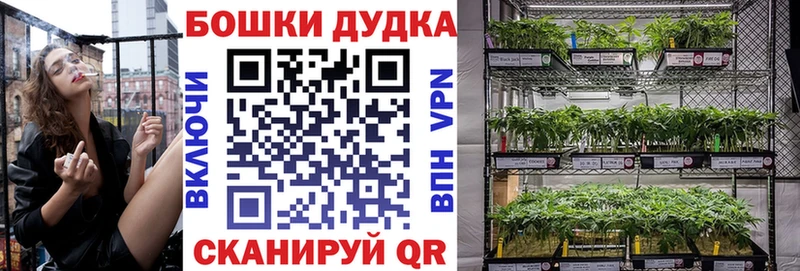 Конопля SATIVA & INDICA  Ессентукская 